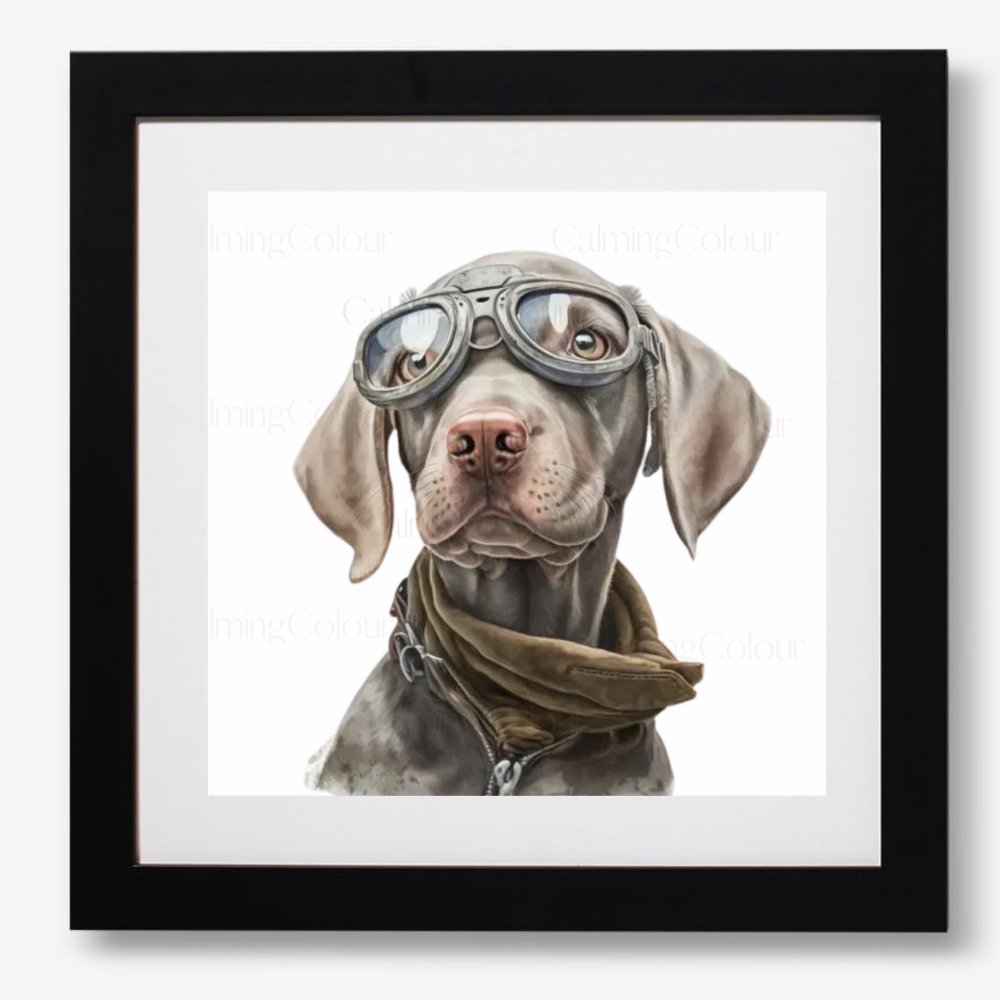 Weimaraner wearing Goggles | Framed Art Print | Calming Colour