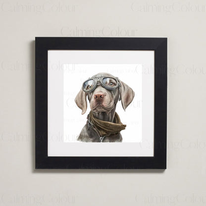 Weimaraner wearing Goggles | Framed Art Print | Calming Colour