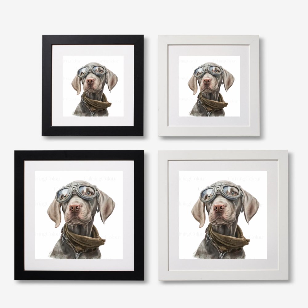 Weimaraner wearing Goggles | Framed Art Print | Calming Colour