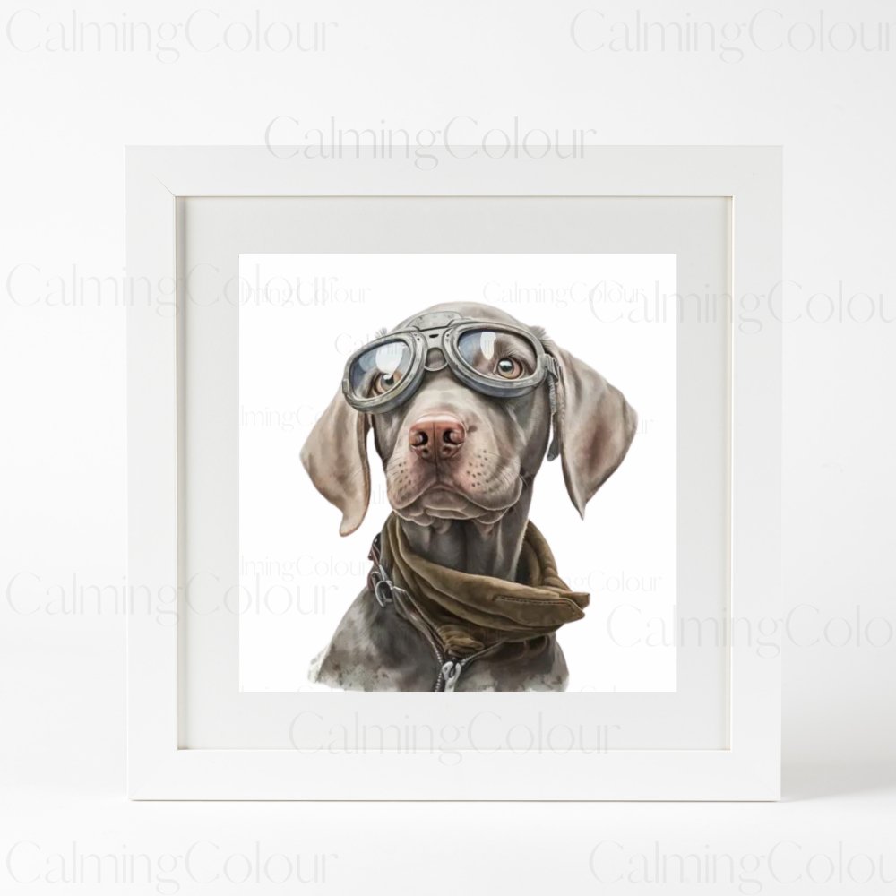 Weimaraner wearing Goggles | Framed Art Print | Calming Colour