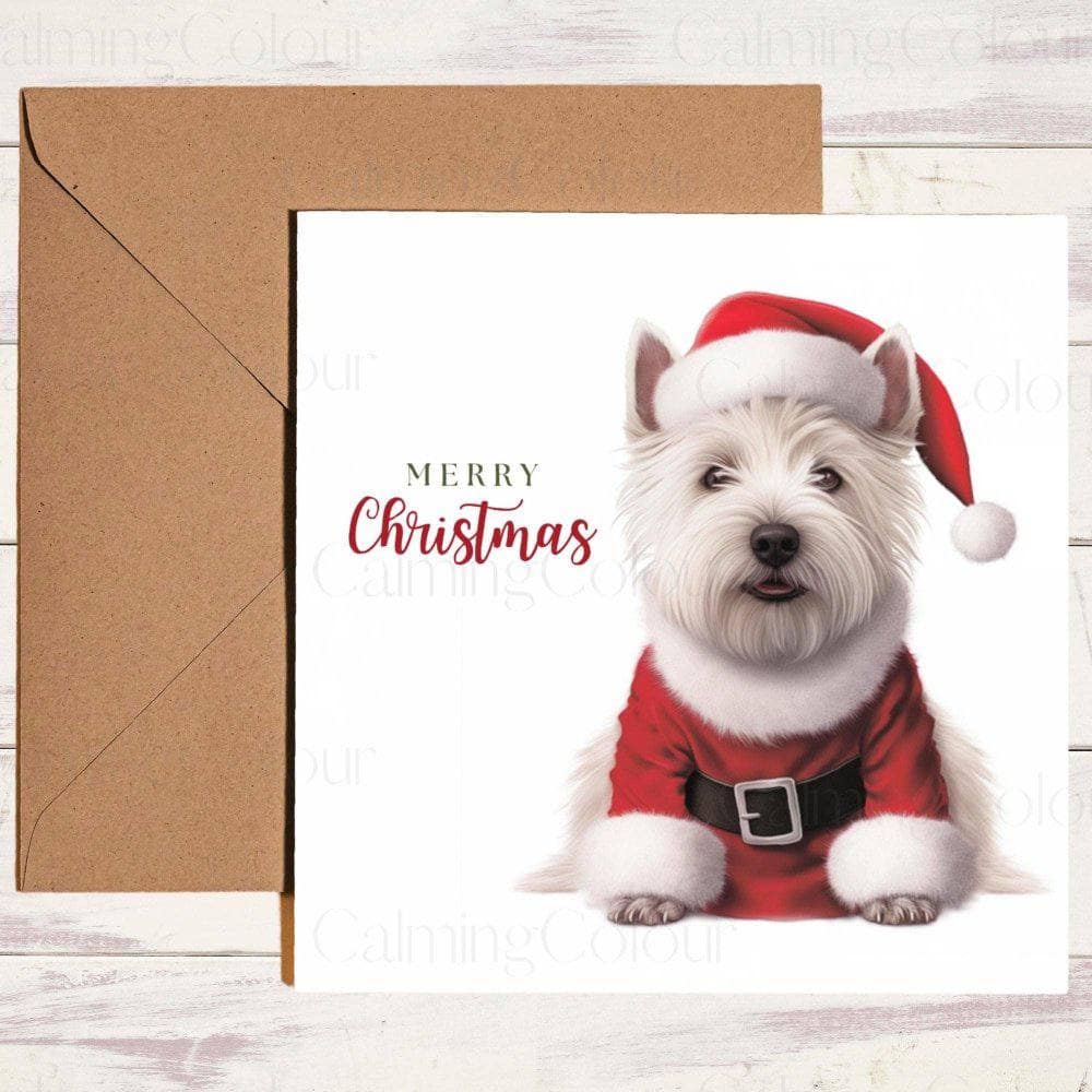 West Highland Terrier wearing Red Christmas Jumper | Christmas Card | Calming Colour