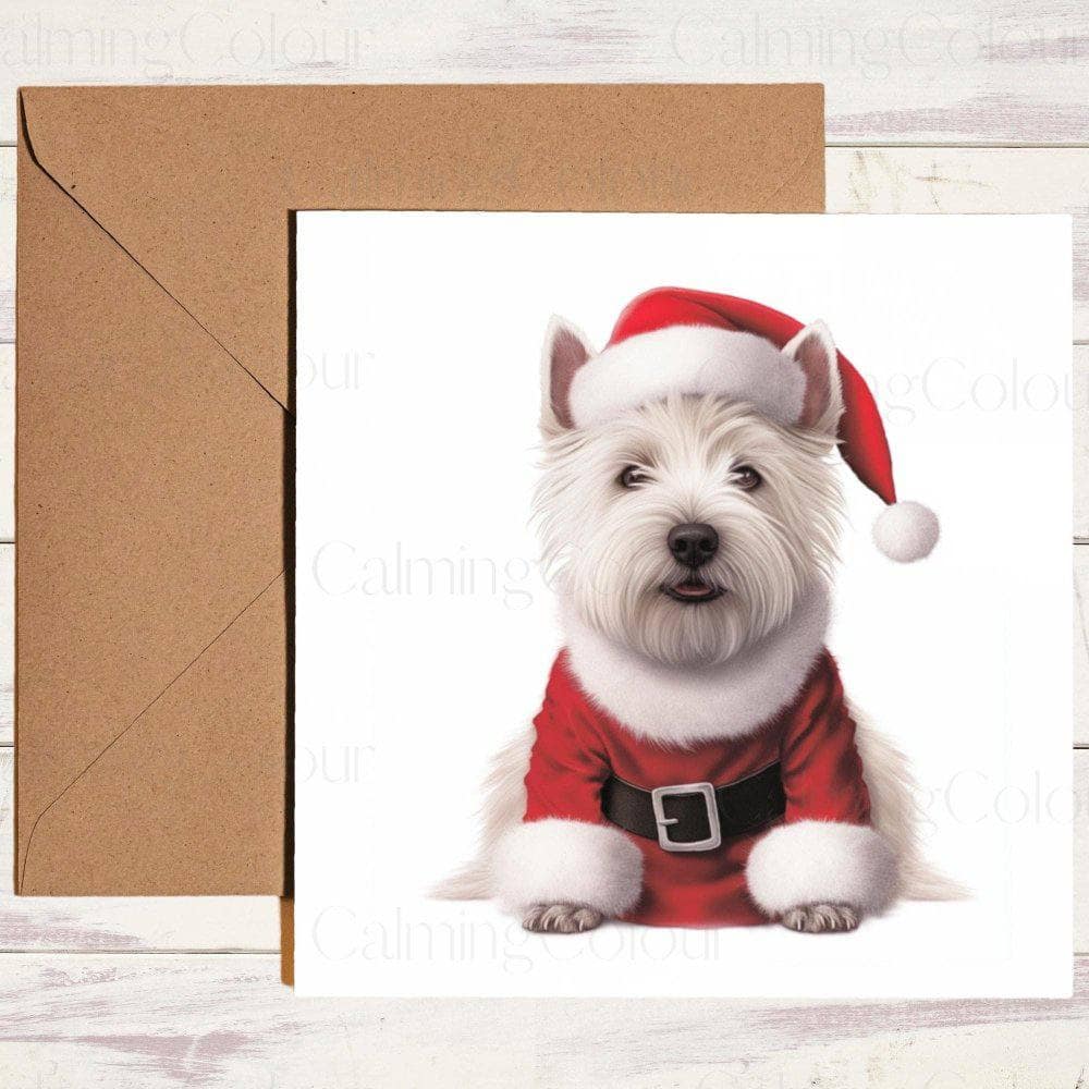 West Highland Terrier wearing Red Christmas Jumper | Christmas Card | Calming Colour