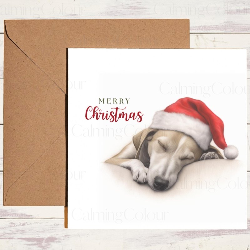 Whippet Curled Up in Santa Hat | Christmas Card | Christmas Card