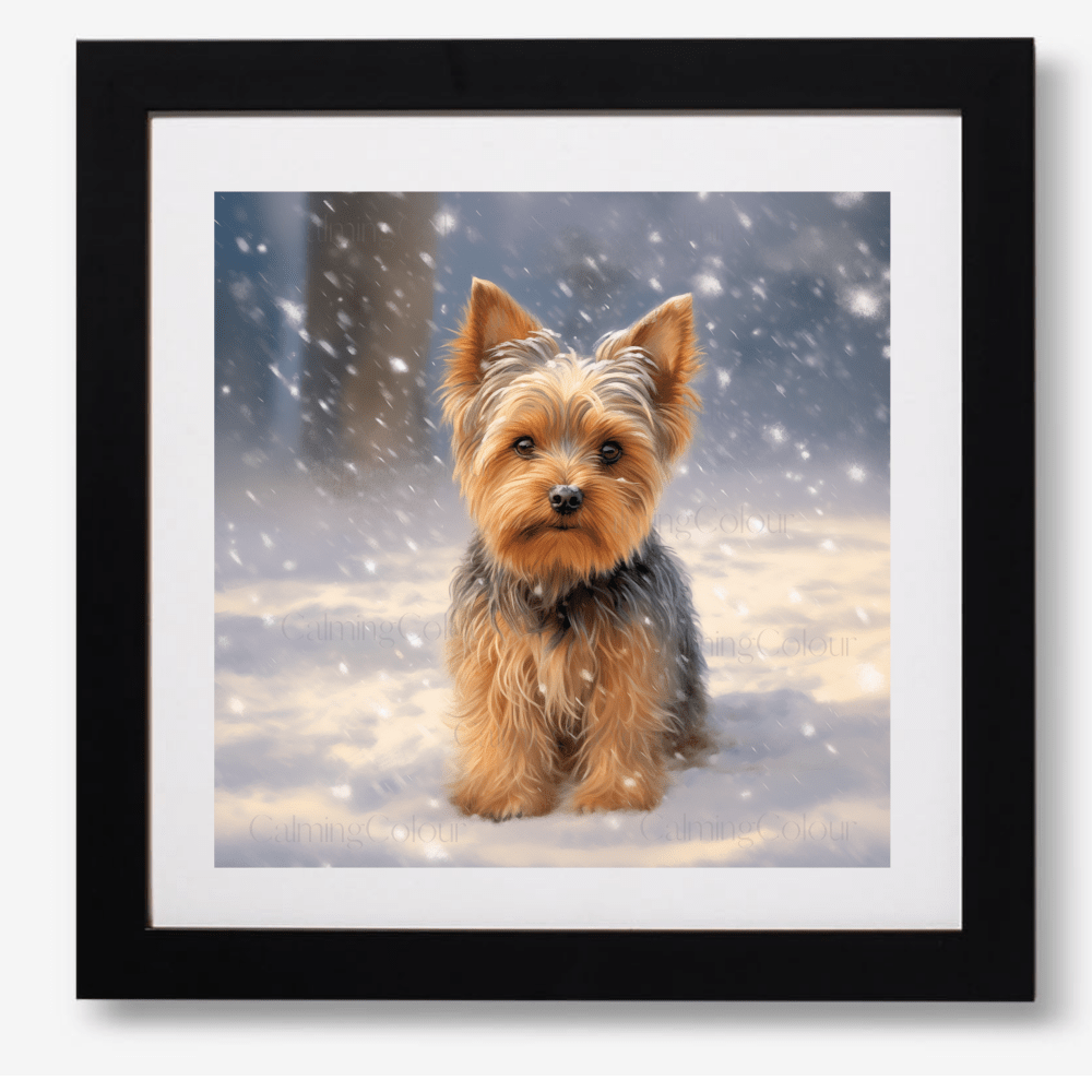 Yorkshire Terrier in the Snow | Framed Art Print | Christmas | Calming Colour