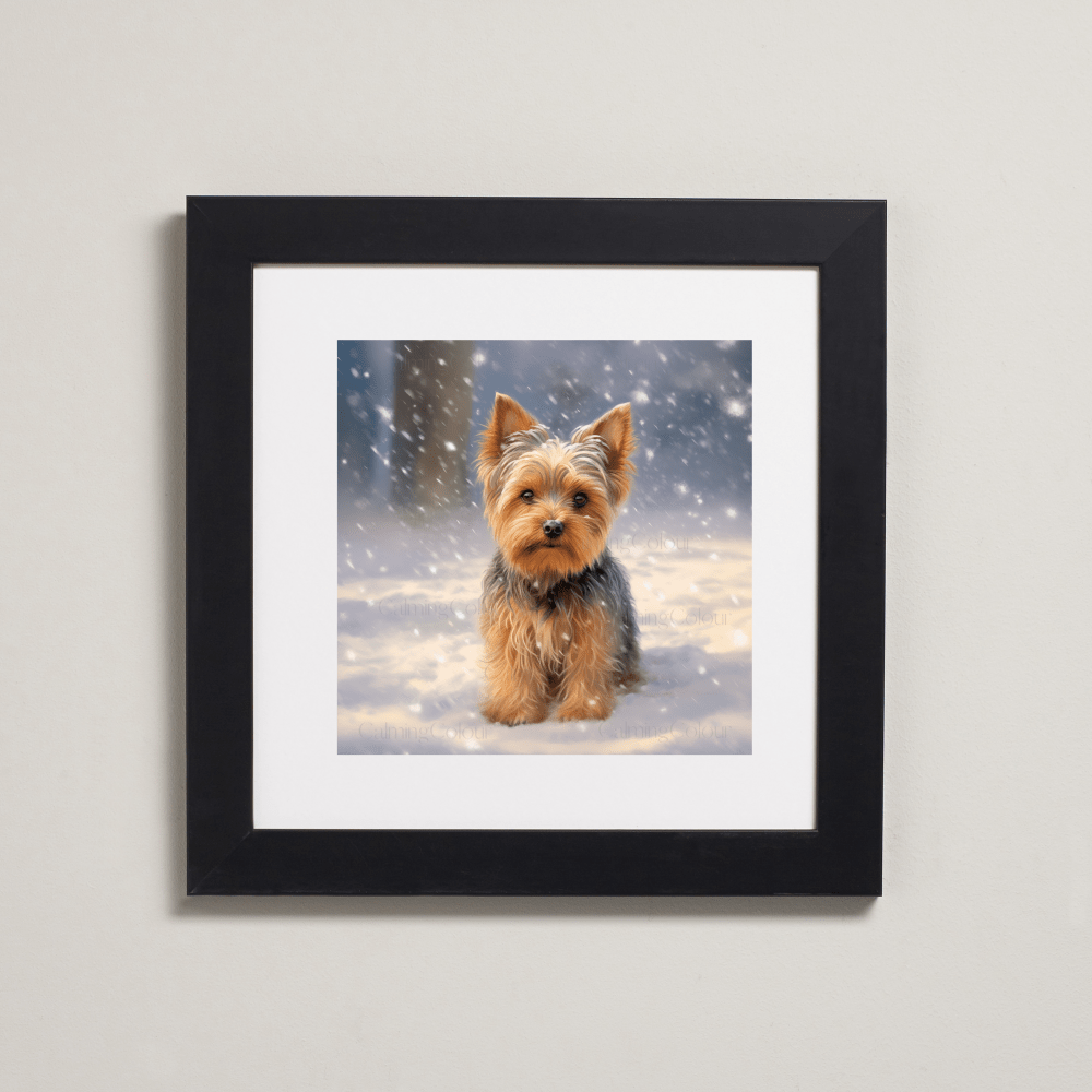 Yorkshire Terrier in the Snow | Framed Art Print | Christmas | Calming Colour