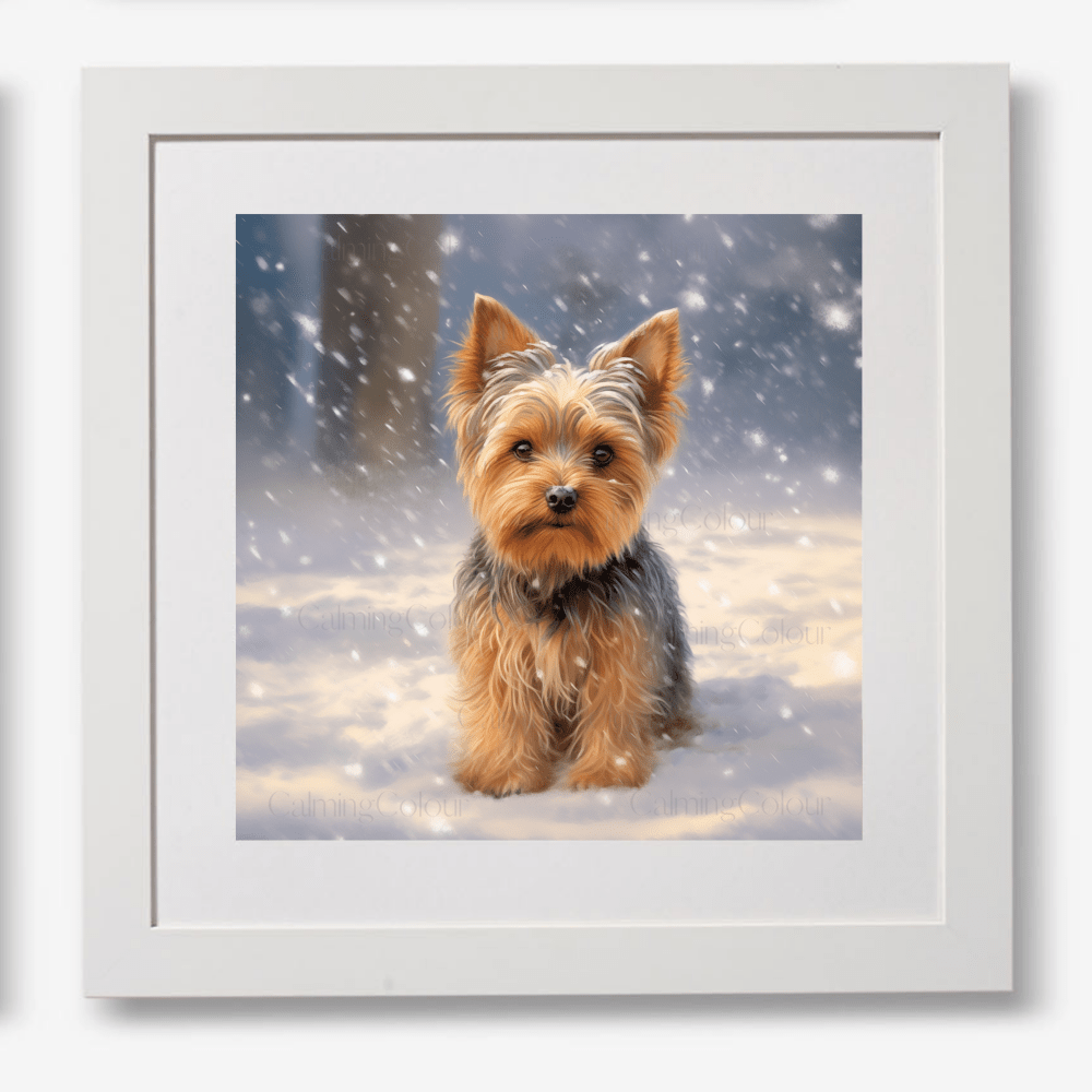 Yorkshire Terrier in the Snow | Framed Art Print | Christmas | Calming Colour