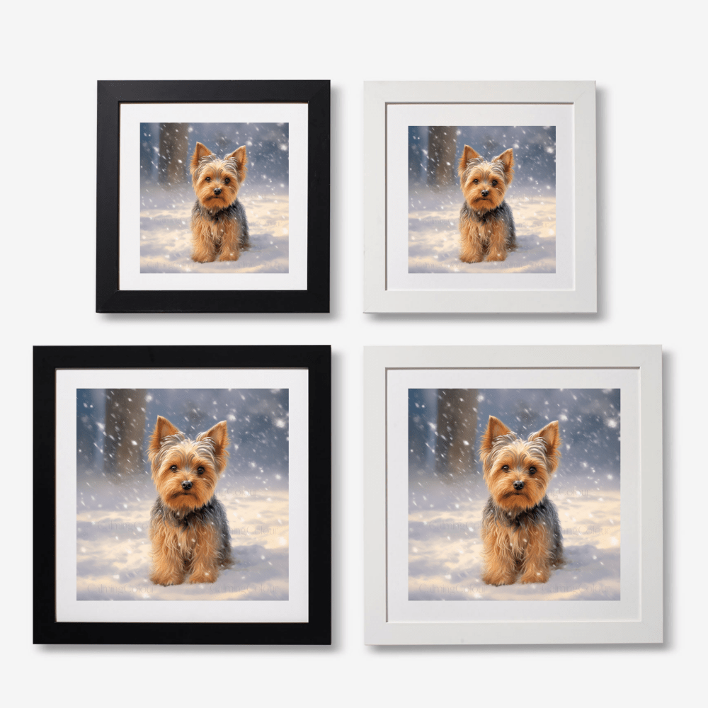 Yorkshire Terrier in the Snow | Framed Art Print | Christmas | Calming Colour